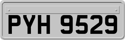 PYH9529