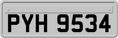 PYH9534