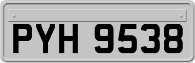 PYH9538