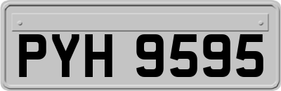 PYH9595