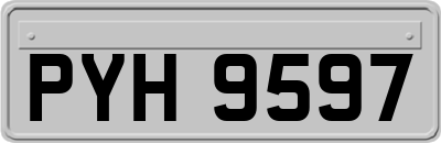 PYH9597