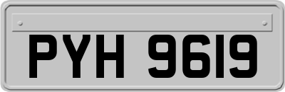 PYH9619