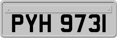 PYH9731