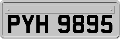 PYH9895