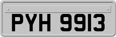 PYH9913