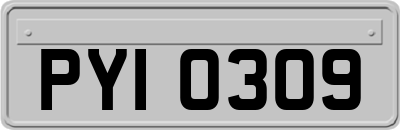 PYI0309