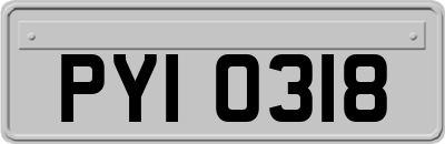 PYI0318