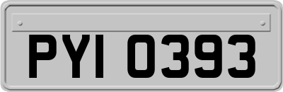 PYI0393