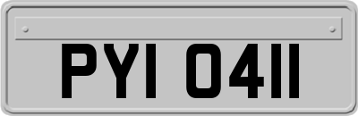 PYI0411