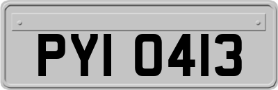 PYI0413