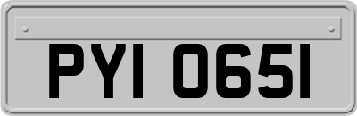 PYI0651