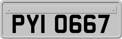 PYI0667