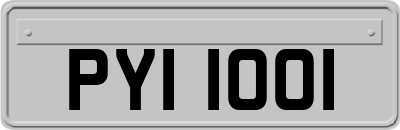 PYI1001