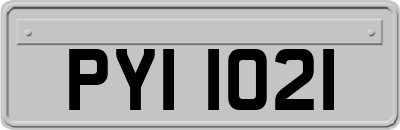 PYI1021