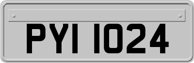 PYI1024