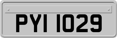 PYI1029