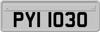 PYI1030