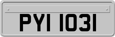 PYI1031