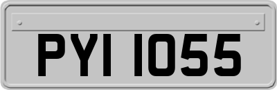 PYI1055