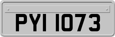 PYI1073