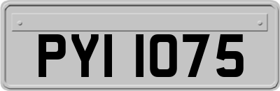 PYI1075