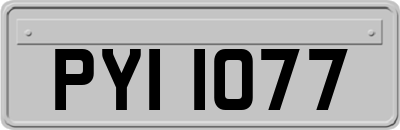 PYI1077