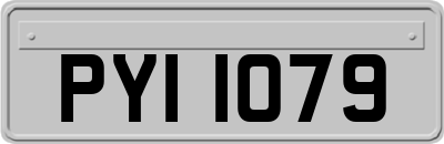 PYI1079