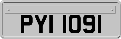 PYI1091