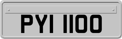 PYI1100