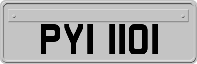 PYI1101