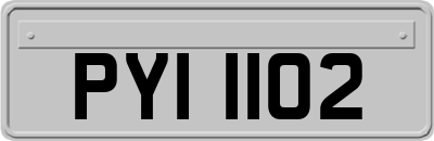 PYI1102