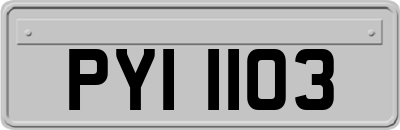 PYI1103