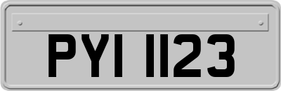 PYI1123