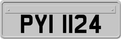 PYI1124