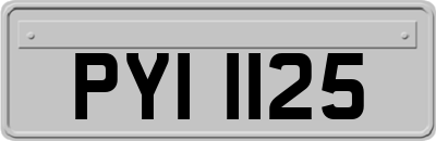 PYI1125