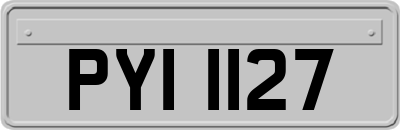 PYI1127