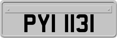 PYI1131