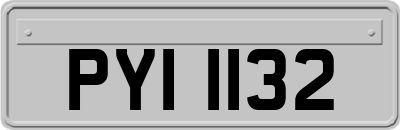 PYI1132