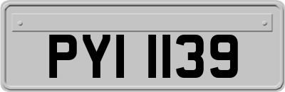 PYI1139