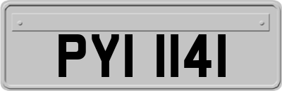 PYI1141