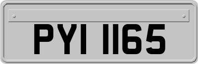 PYI1165