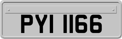 PYI1166