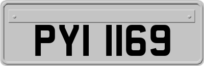 PYI1169