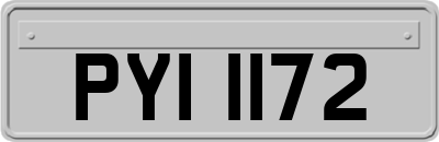 PYI1172