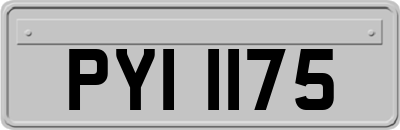 PYI1175