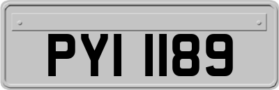 PYI1189