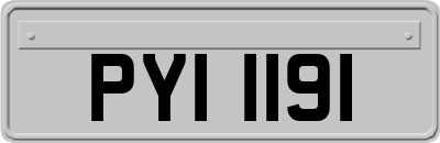 PYI1191