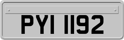 PYI1192