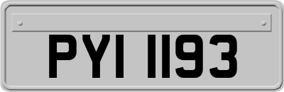 PYI1193