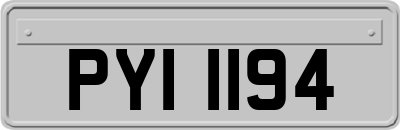 PYI1194